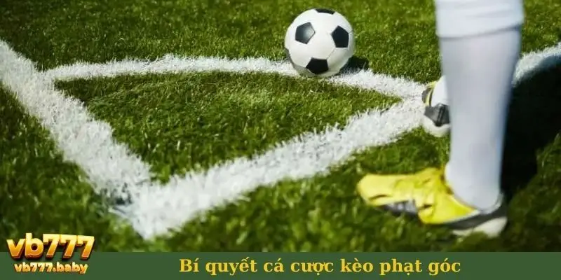 Bí quyết cá cược kèo phạt góc