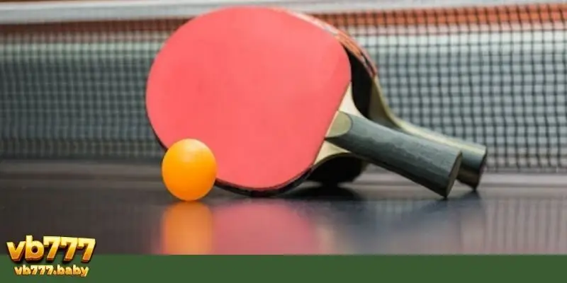 Tổng hợp 10 chiến thuật cá cược bóng bàn đỉnh chóp cho newbie