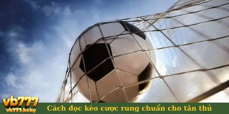 Cách đọc kèo cược rung chuẩn cho tân thủ
