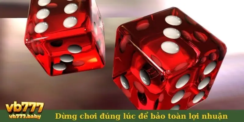 sai lầm phổ biến khi chơi tài xỉu trực tuyến