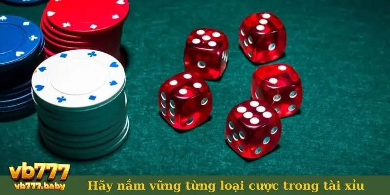 Mẹo đánh tài xỉu - Hãy nắm vững từng loại cược!