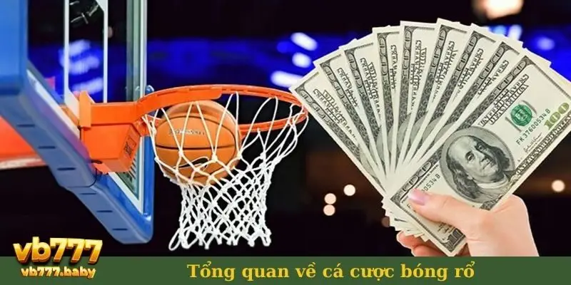 Tổng quan về cá cược bóng rổ