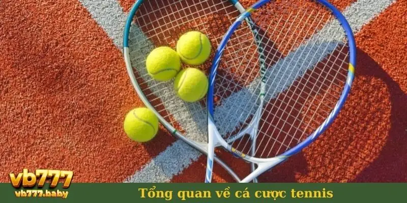 Tổng quan về cá cược tennis