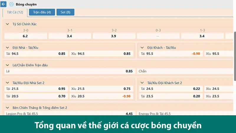 Hiểu rõ về cá cược bóng chuyền và kinh nghiệm chơi cá độ hiệu quả 