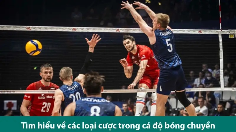 Hiểu rõ về cá cược bóng chuyền và kinh nghiệm chơi cá độ hiệu quả 