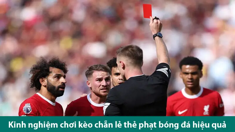 Kinh nghiệm chơi kèo chẵn lẻ thẻ phạt bóng đá và các yếu tố ảnh hưởng