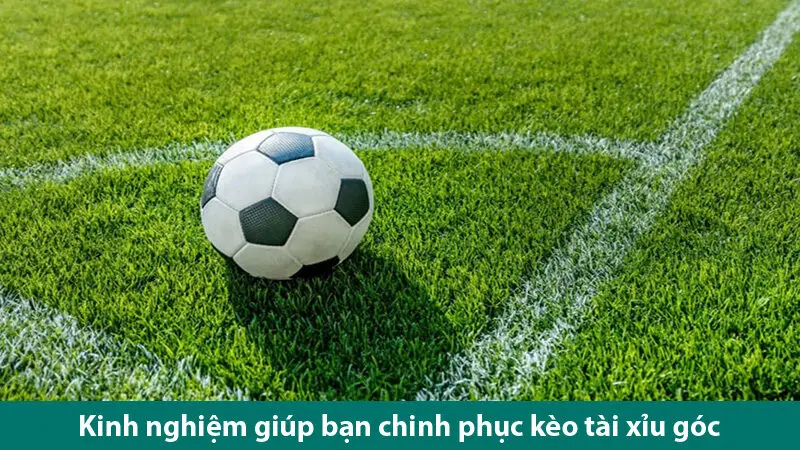 Kinh nghiệm chinh phục kèo tài xỉu góc đầy thử thách cùng chuyên gia cá độ