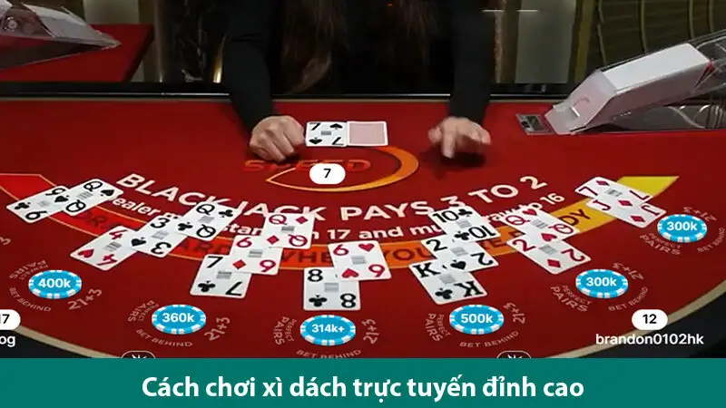 Cách đọc vị bài của đối thủ và các lưu ý khi chơi Xì dách trực tuyến